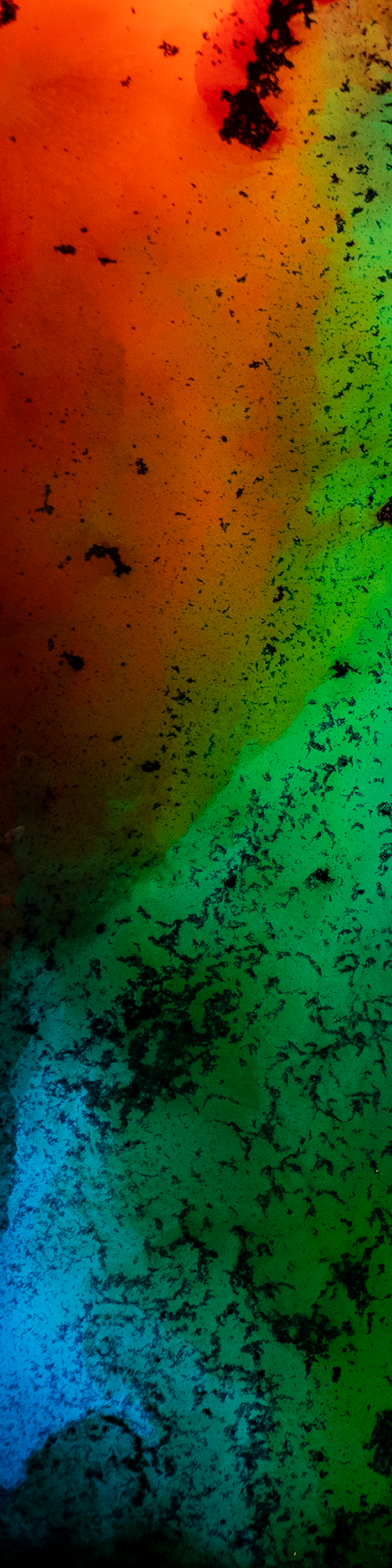 2x8 Crop