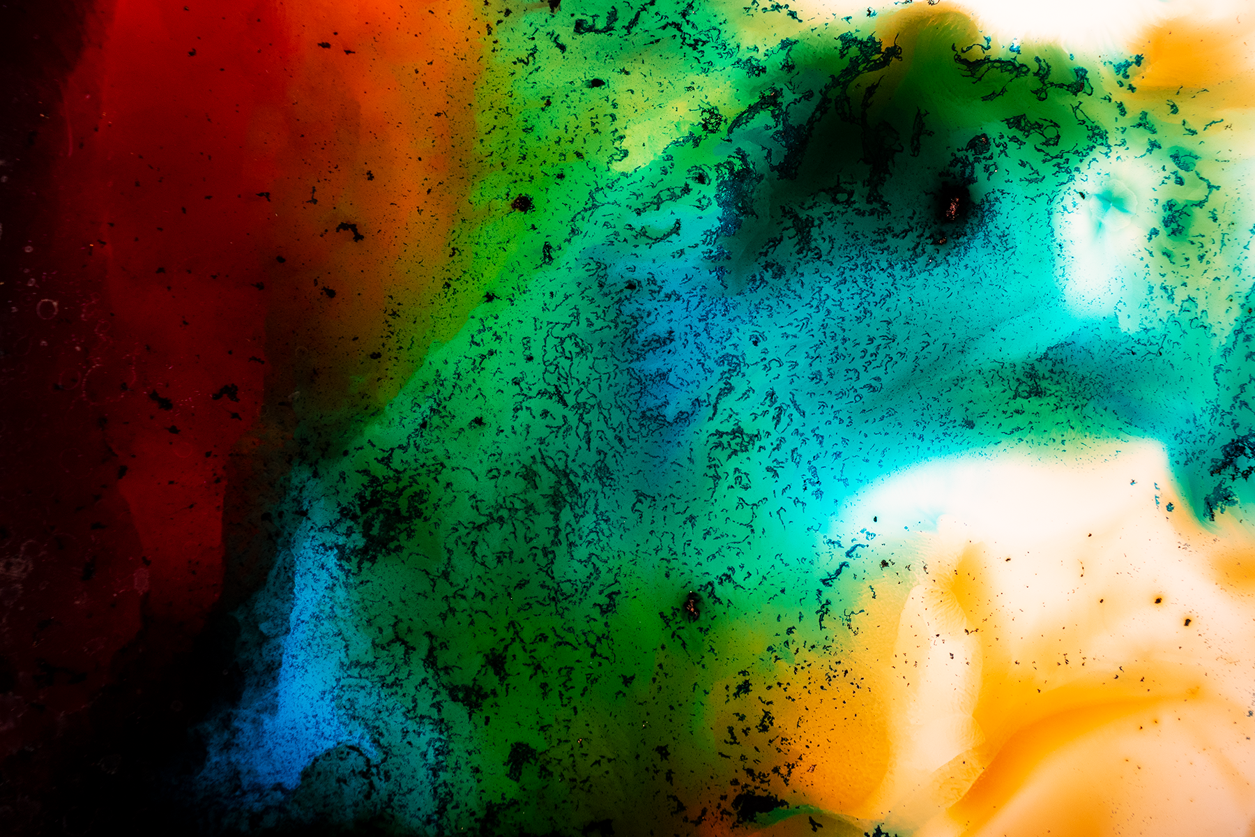 6x4 Crop